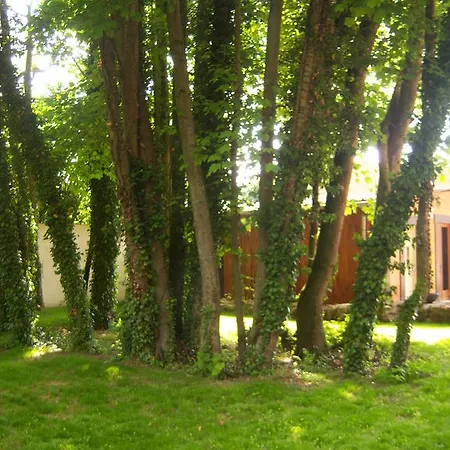 Bed & Breakfast Chambres D'hotes Sawan Jâlons